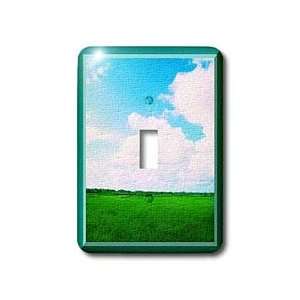 Susan Brown Designs Nature Themes   Paddy Field   Light Switch Covers 
