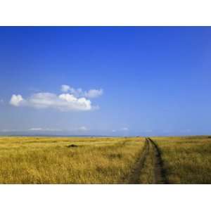  Vehicle Tracks across the Vast Grass Plains of the Masai 