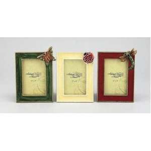  Ashleigh Manor Insect World Multi Frame, Set of 3