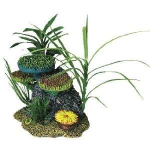  Anemone Cluster w/Plants
