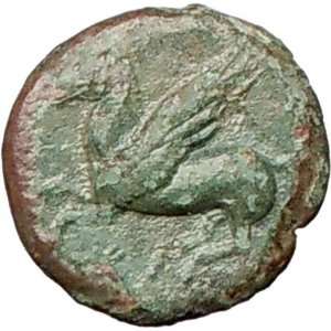   in Zeugitana 320BC Ancient Greek Coin Rare Pegasus winged divine horse
