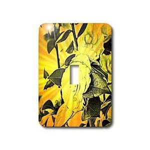   Art  Roses  Romantic   Light Switch Covers   single toggle switch