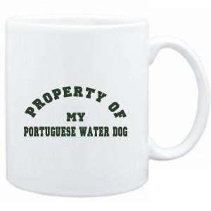   White  PROPERTY OF MY Portuguese Water Dog  Dogs