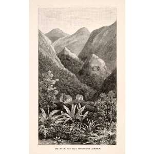   Valley Jamaica Natural History Landscape   Original Wood Engraving