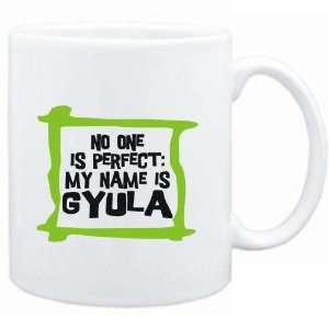   No one is perfect My name is Gyula  Male Names