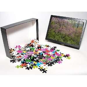   Puzzle of CAN  Redbud Tree from Ardea Wildlife Pets Toys & Games