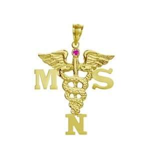   Masters of Science in Nursing MSN 14K Gold Pendant with Ruby Jewelry