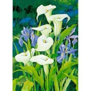  Calla Lily by Franz Heigl. Size 15.75 inches width by 19 
