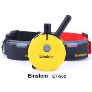  E Collar Technologies Einstein Small/Medium 2 Dog Remote 