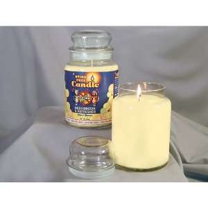  SDISC Stink Free Candle   Cucumber Melon 24oz Pet 