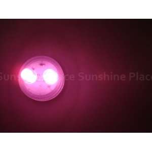  Submersible Floralyte Ii with 2 Leds Tea Lights   Pink 