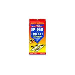  Spider And Cricket Glue Trap