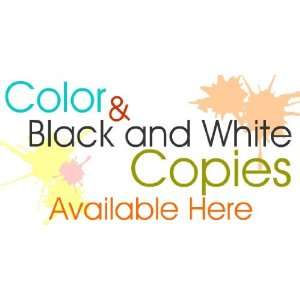   3x6 Vinyl Banner   Color And Black And White Copies 