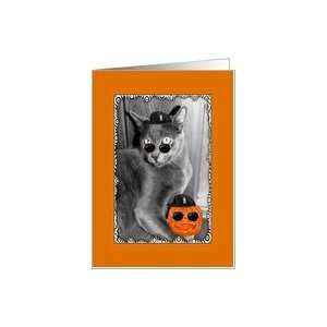  Halloween   Funny Pirate Cat & Pumpkin Card Health 