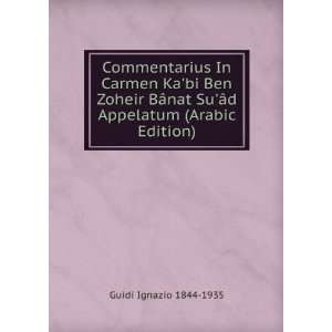   SuÃ¢d Appelatum (Arabic Edition) Guidi Ignazio 1844 1935 Books