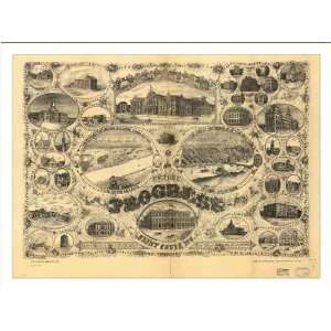  Historic St. Louis, Missouri, c. 1884 (L) Panoramic Map 