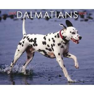  Dalmatians 2012 Wall Calendar