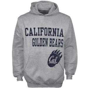  Cal Golden Bear Hoody Sweatshirt  Cal Bears Youth Ash 