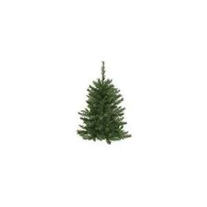    Set of 4 3 Imperial Pine Wall Tree 166 Tips