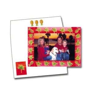  NRN PALM SUNSET Photo Cards   6 x 8   100 Cards Office 