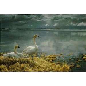    Robert Bateman   Wide Horizons Tundra Swans