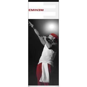  Eminem   Posters   Door