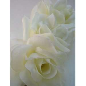  NEW Triple White Rose Hair Flower Clip, Limited. Beauty