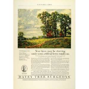  1927 Ad Davey Tree Removal Surgeons Landscape Architecture 