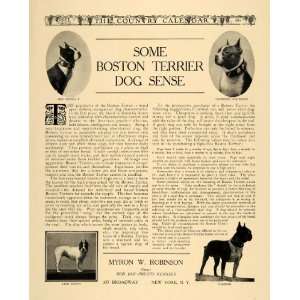  1905 Ad Myron Robinson Boston Terrier Dog Sense Champs 