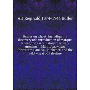   kitchener, and the wild wheat of Palestine AH Reginald 1874 1944