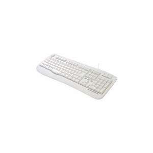  Samsung Pleomax Basic PKB 700W   Keyboard   PS/2   white 