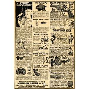  1922 Ad Johnson Smith Novelty Gifts Canary Pig Serpent 