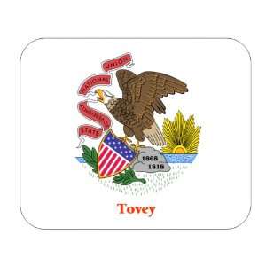  US State Flag   Tovey, Illinois (IL) Mouse Pad Everything 