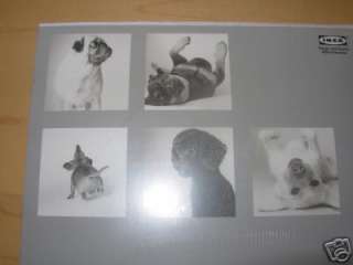 IKEA AWESOME BLACK AND WHITE DOG CARDS NEW CAN FRAME FOR CUTE PICTURES 
