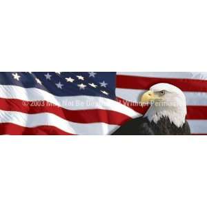 Exclusive By ClearVue Graphics Window Graphic   20x65 US Flag 1 with 