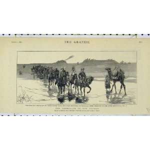  1884 Rebellion Soudan Tokar Baker Pasha Trinkitat Horse 
