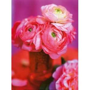 Pink Bouquet   Poster by Bergdahl Pernilla (12x16) 