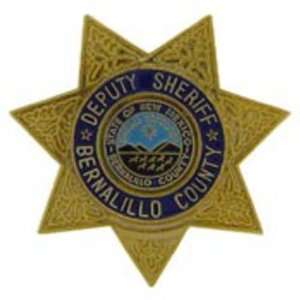  Bernalillo County Deputy Sheriff Badge Pin 1 Arts 