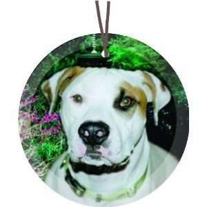 Rikki Knight American Pitbull Dog Glass Round Christmas Tree Ornament 