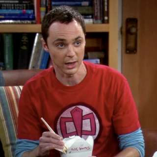 Sheldons Greatest American Hero Big Bang Theory T Shirt  