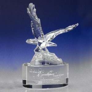  Successories Spirit of Excellence Award