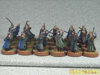 Lord of the Rings WDS Pro painted Wood Elf Warriors j21  