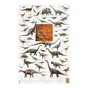  Dinosaurs of the Triassic & Jurassic Poster Toys & Games