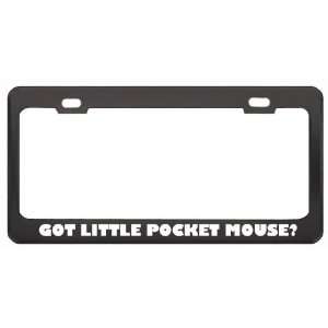 Got Little Pocket Mouse? Animals Pets Black Metal License Plate Frame 
