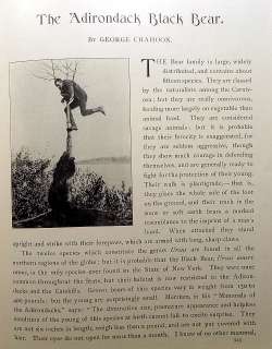   FOREST FISH & GAME COMMISSION 7th REPORT 1902 FUERTES DENTON  