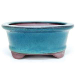  Edamame Bonsais Shohin Ceramic Glazed Bonsai Planter 
