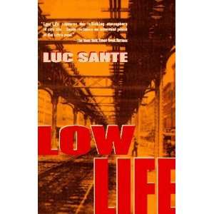   Life Lures and Snares of Old New York [Paperback] Luc Sante Books