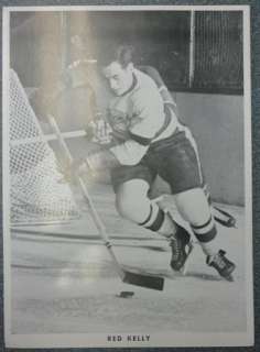 1950s Blueline Black And White Photo 8½ X 12 Red Kelly  
