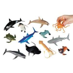  12 Sensational Sea Life Animals   Teaching Supplies 