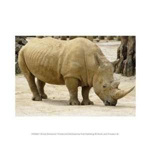  Liebermans PPFPVP0463 African Rhinoceros 10.00 x 8.00 